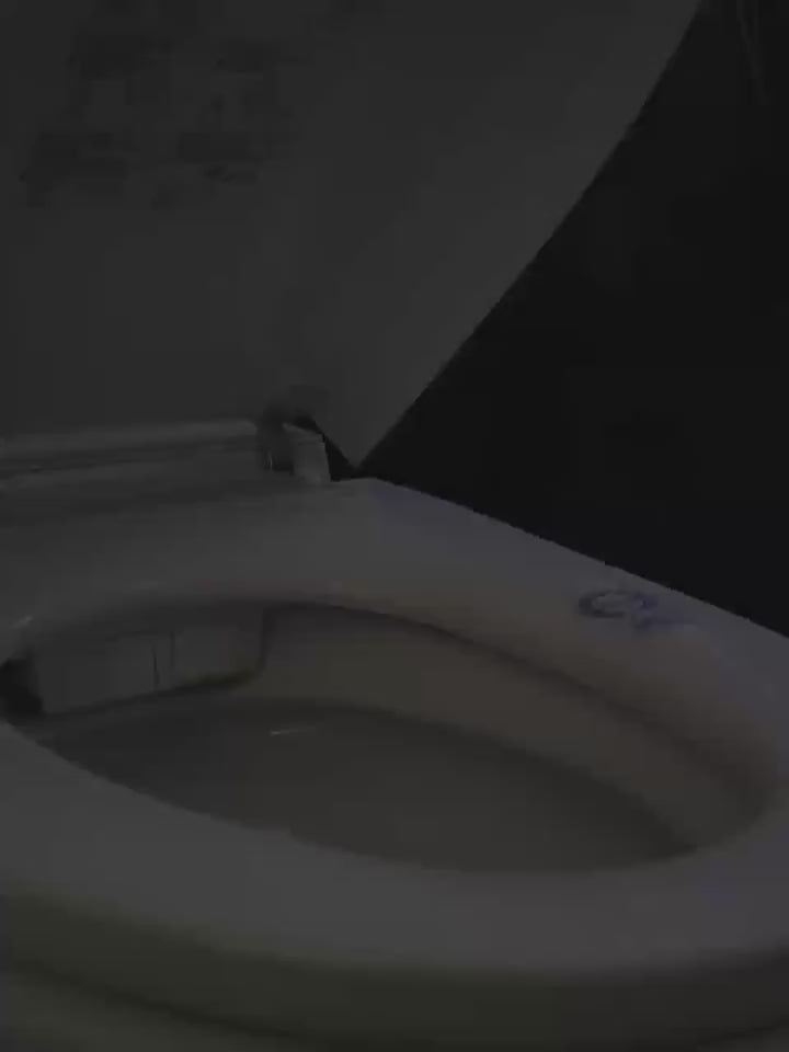 Automatic Toilet Cleaning Device, Automatic Induction Lamp, Deodorant for Family Bathroom Hotel, Available for Business Trip, Freshens Air & Neutralizes Odors, Toilet Bowl Cleaner/freshener/deodorizer, Toilet Cleaner, Ultrasonic Cleane